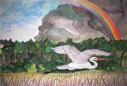 egret_and_rainbow