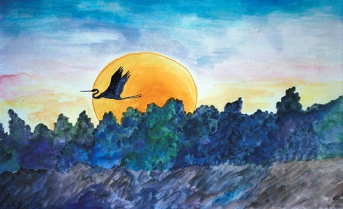 great_blue_heron_sun