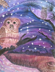 the_owl