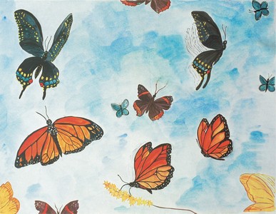 Butterflies