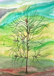 Loblolly_Pine