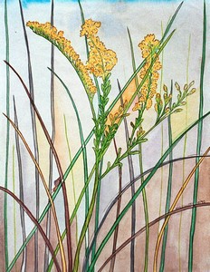 Goldenrod
