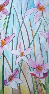 Marsh_Pinks