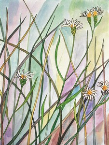 October_Asters