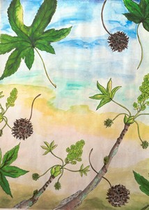 star_tree