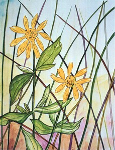 Sunflower_Marsh