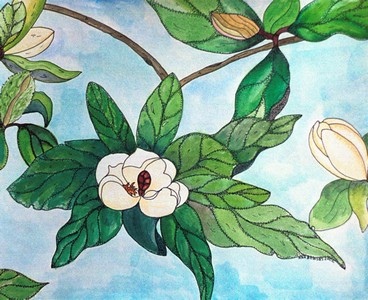 Sweet_Bay_Magnolia