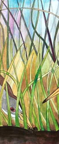 spartina grass