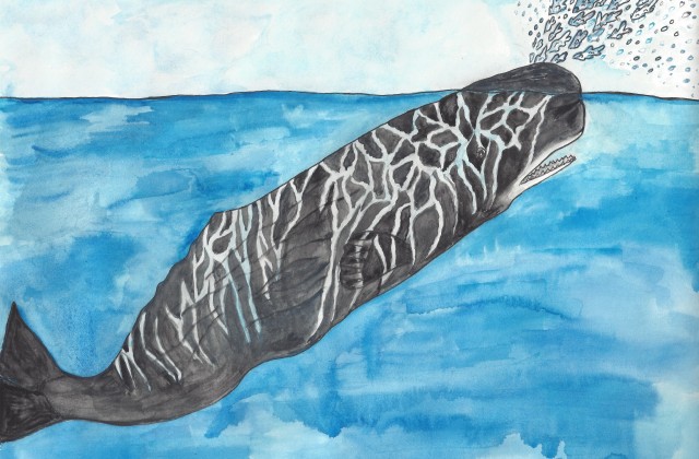 sperm whale surfacing - children's book illustration