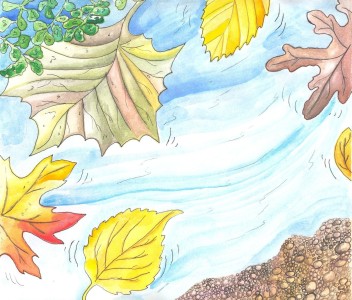 Autumn Leaves Floating On Water
