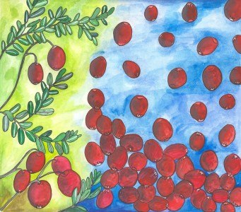 Round Red Cranberries Falling